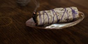 Abalone Shell and smudging Stick